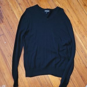 Express Mens V Neck Sweater